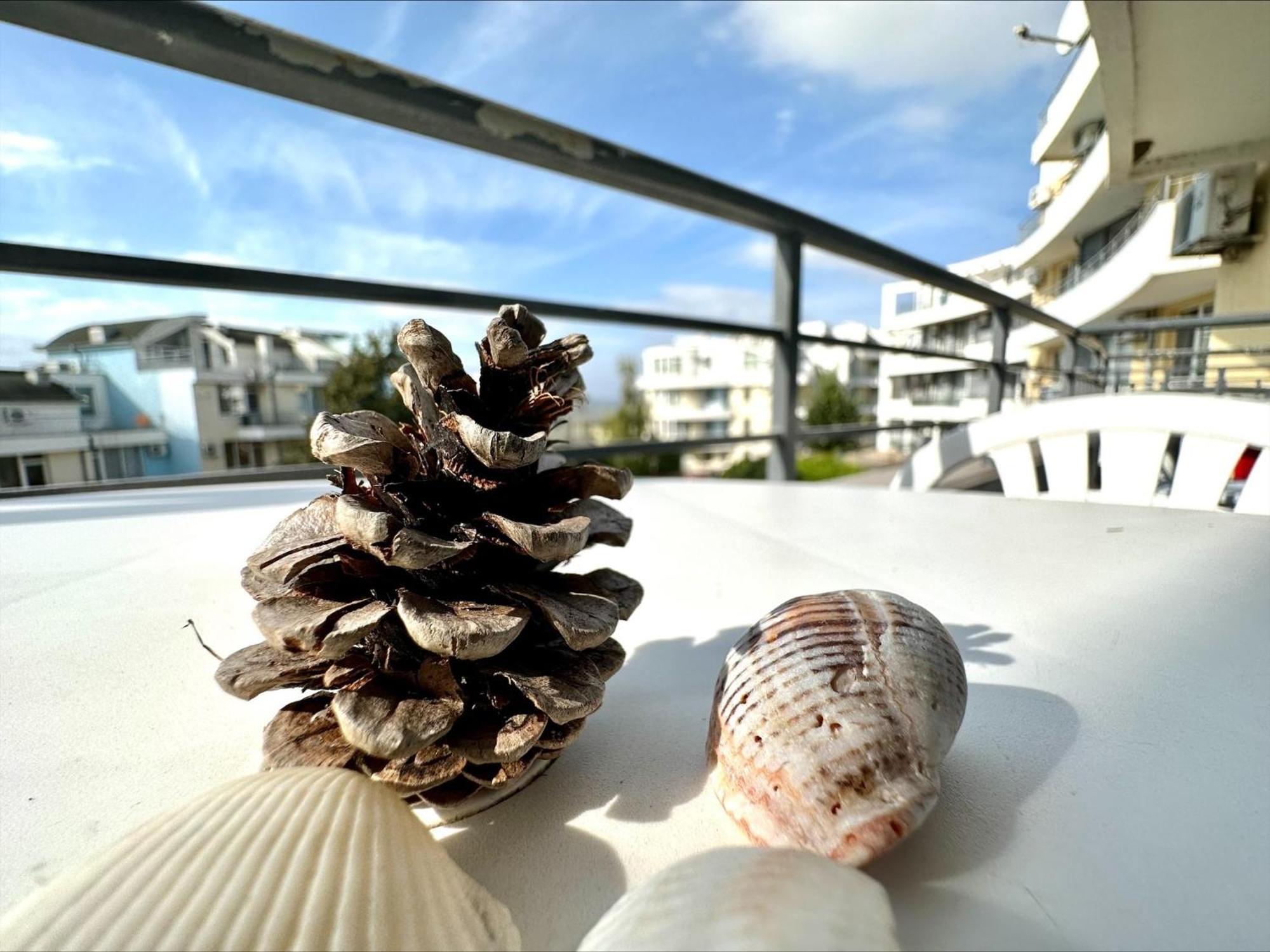 Menada Sunset Kosharitsa Apartments 外观 照片